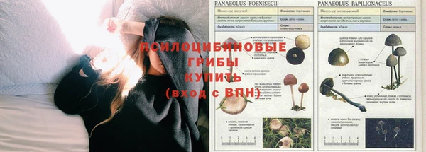 Альфа ПВП Михайловск