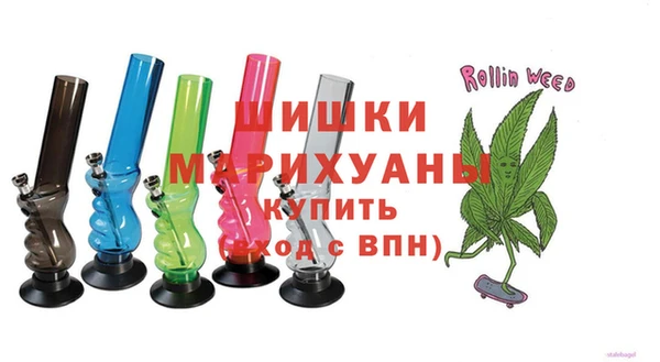 мдпв Гусь-Хрустальный