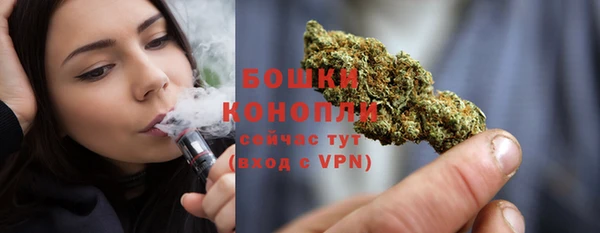 шишки Михайловка