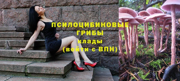 мдпв Гусь-Хрустальный