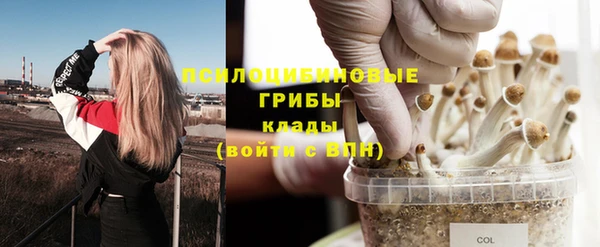 шишки Михайловка