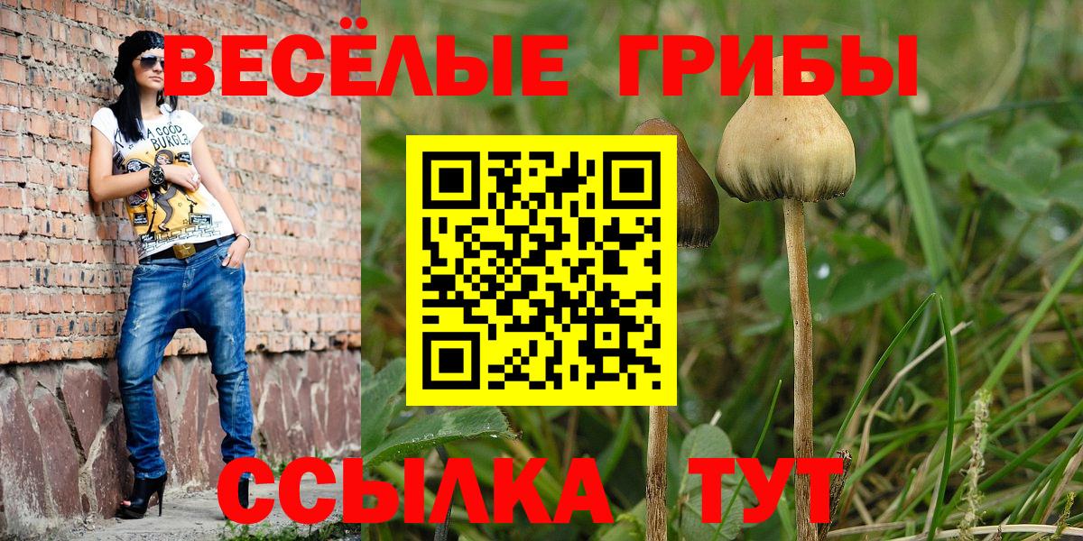 Псилоцибиновые грибы MAGIC MUSHROOMS Елабуга