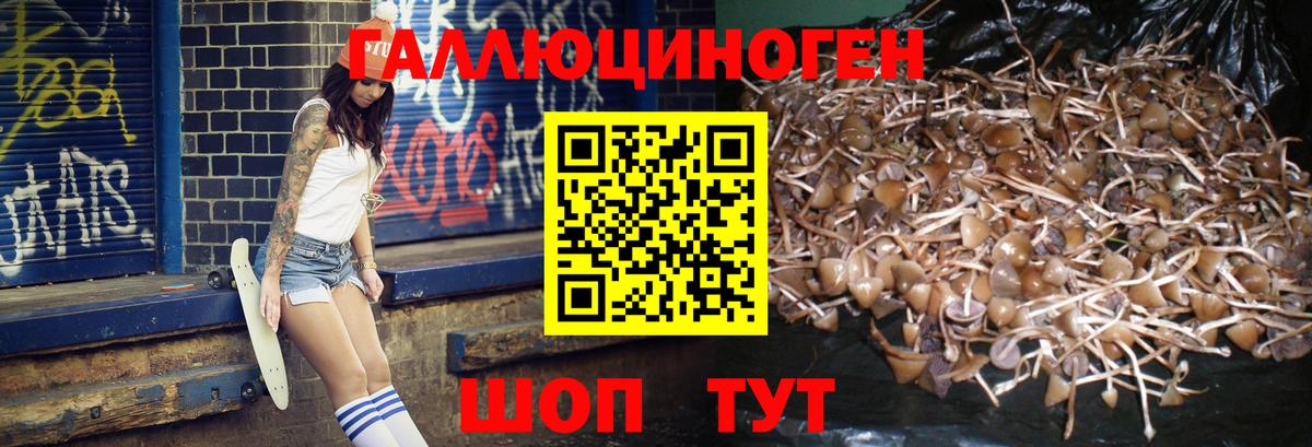 Галлюциногенные грибы ЛСД  Галлюциногенные грибы мицелий  Вход с VPN  Елабуга 
