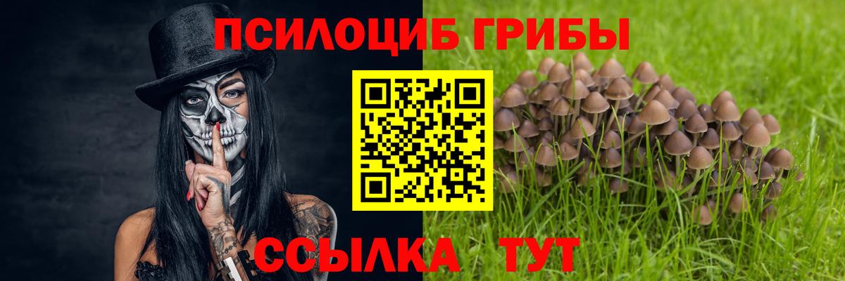 Псилоцибиновые грибы MAGIC MUSHROOMS  купить  цена  Елабуга 